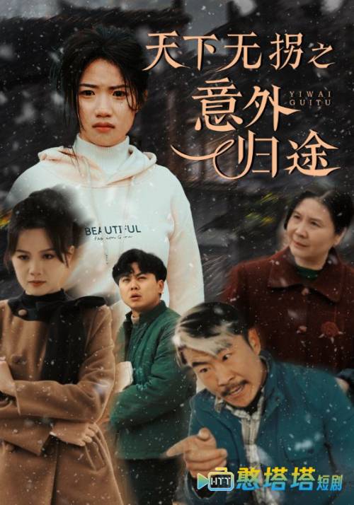 天下无拐之意外归途全集在线观看