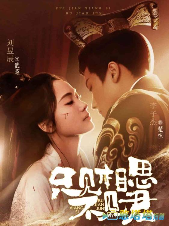 只见相思不见君全集在线观看