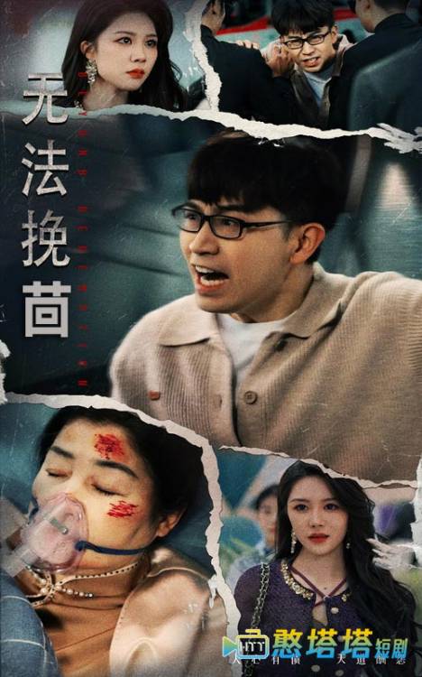 无法挽回全集在线观看