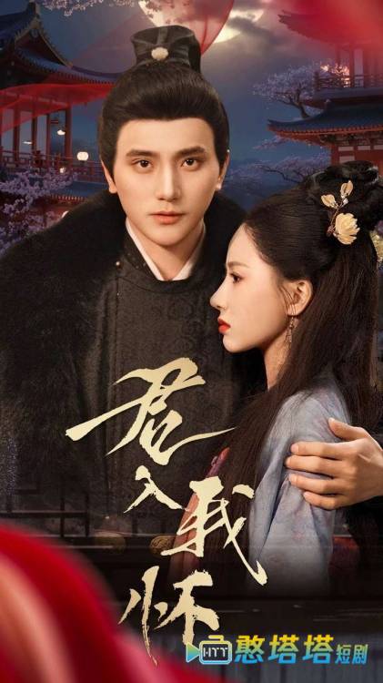 君入我怀全集在线观看