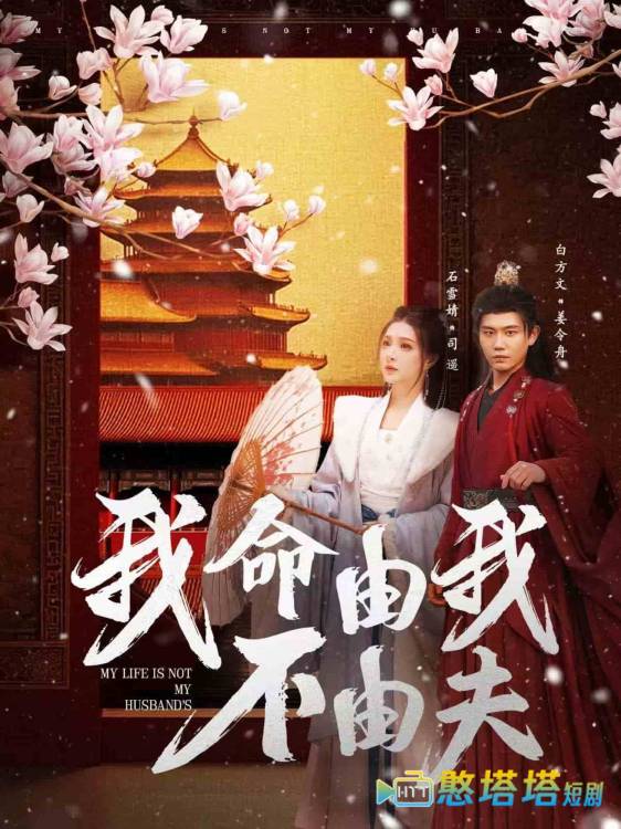 我命由我不由夫全集在线观看
