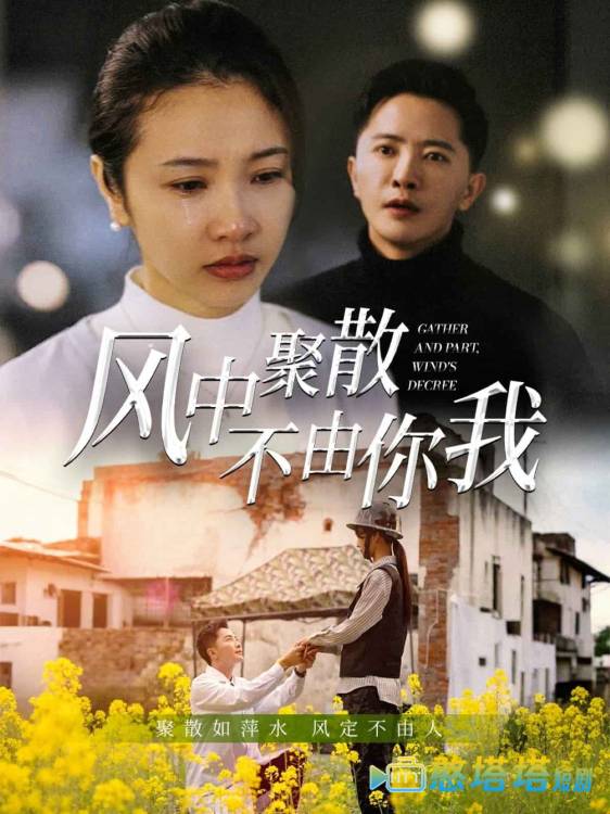 风中聚散不由你我全集在线观看