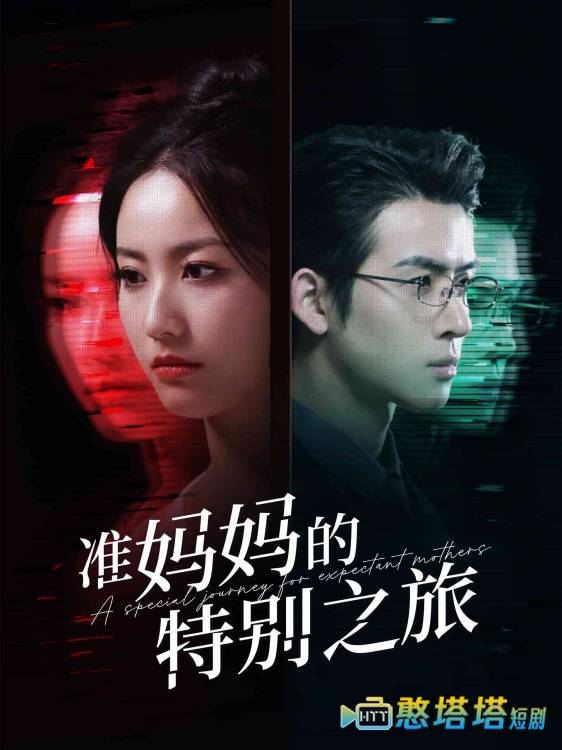 准妈妈的特别之旅全集在线观看