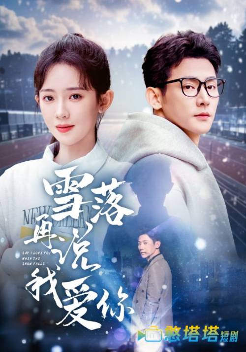 雪落再说我爱你