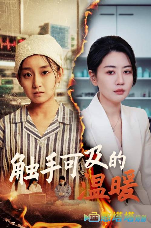 触手可及的温暖