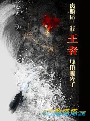 离婚后，我王者身份曝光了