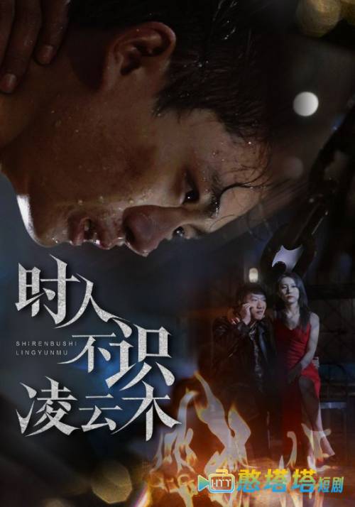 时人不识凌云木全集在线观看