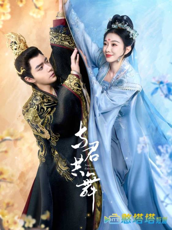 与君共舞全集在线观看