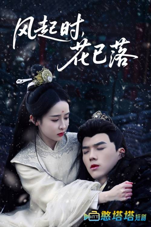风起时,花已落全集在线观看