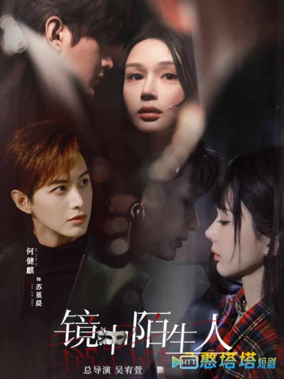 镜中陌生人全集在线观看