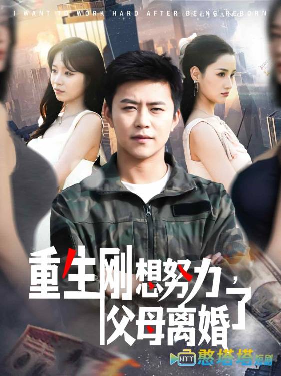 重生刚想努力，父母离婚了全集在线观看
