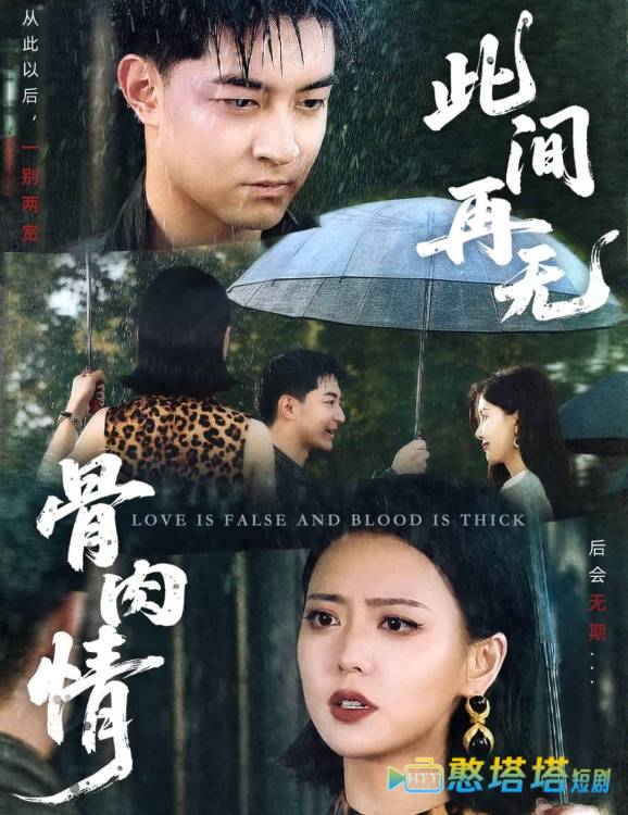 此间再无骨肉情