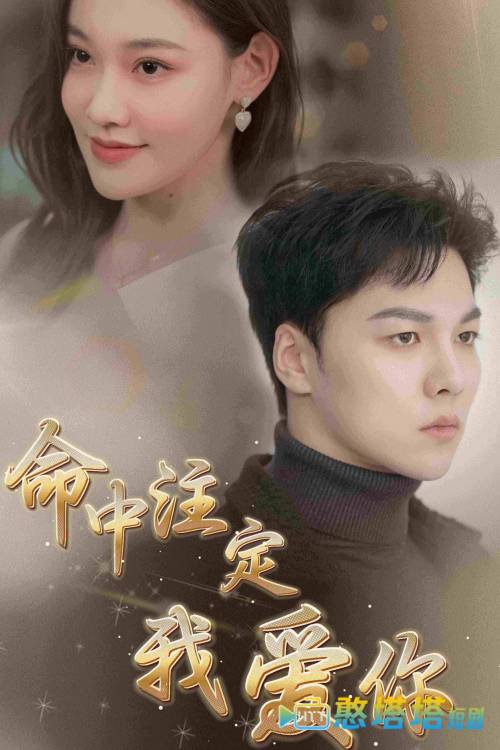 命中注定我爱你 短剧版 全集在线观看