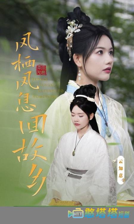 凤栖凤息回故乡全集在线观看