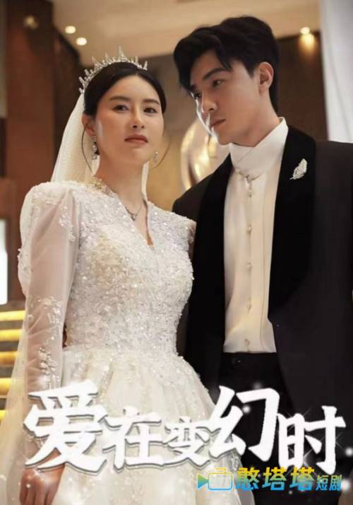 爱在变幻时全集在线观看