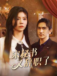 宋秘书又辞职了全集在线观看