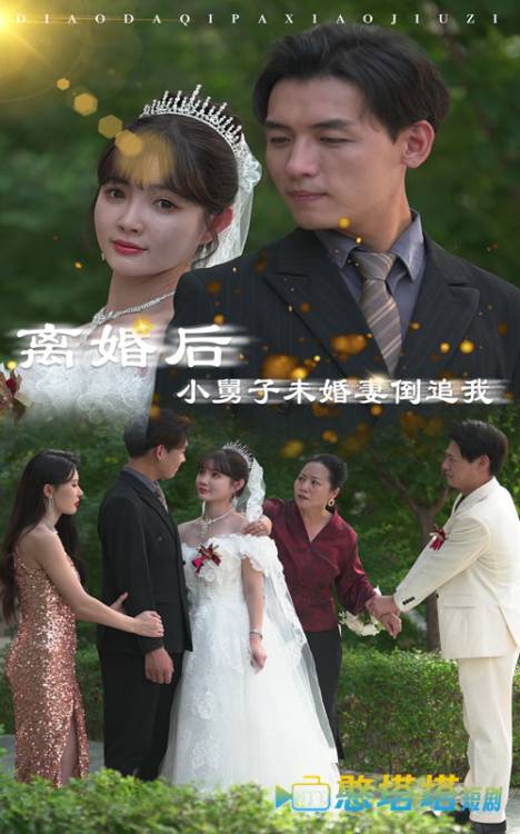 离婚后,小舅子未婚妻倒追我全集在线观看