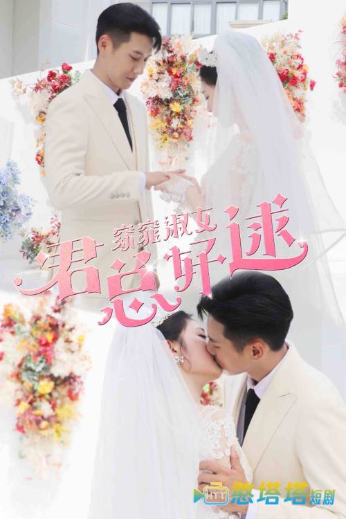 窈窕淑女君总好逑全集在线观看
