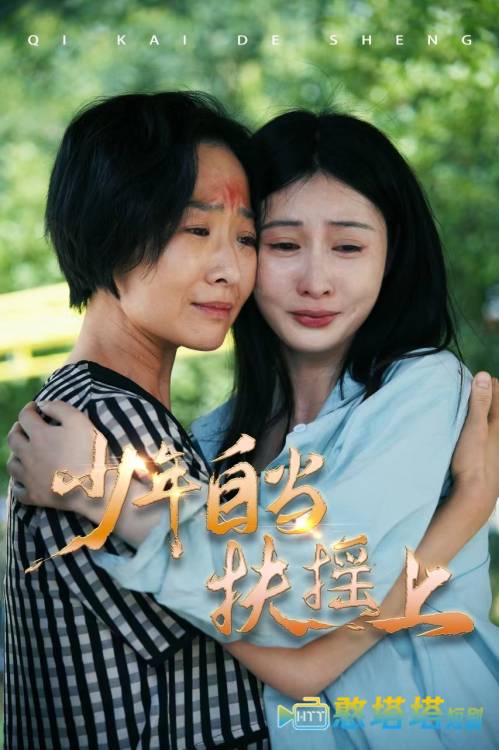 少年自当扶摇上全集在线观看