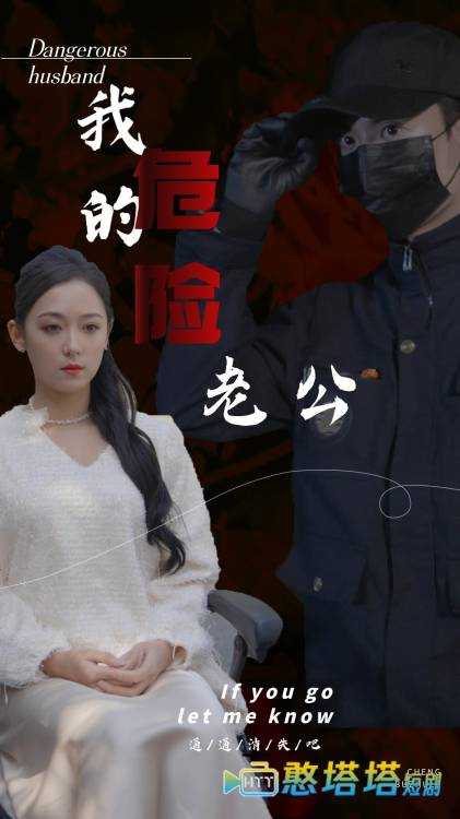 我的危险老公全集在线观看