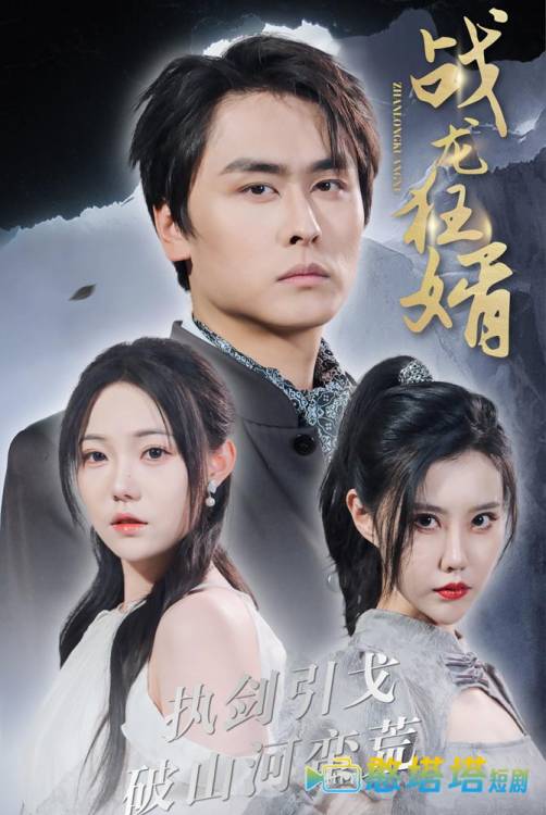 战龙狂婿全集在线观看