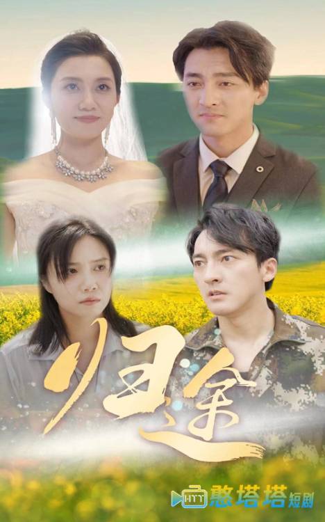 归途 短剧版 全集在线观看