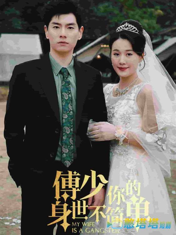 傅少你的身世不简单全集在线观看
