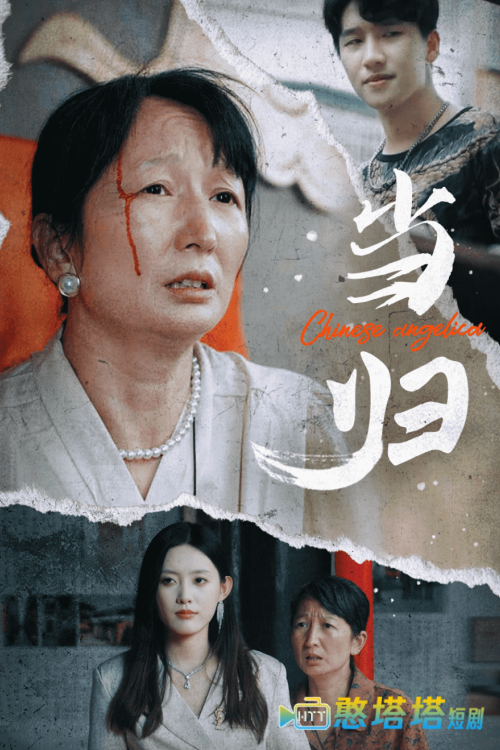 当归全集在线观看