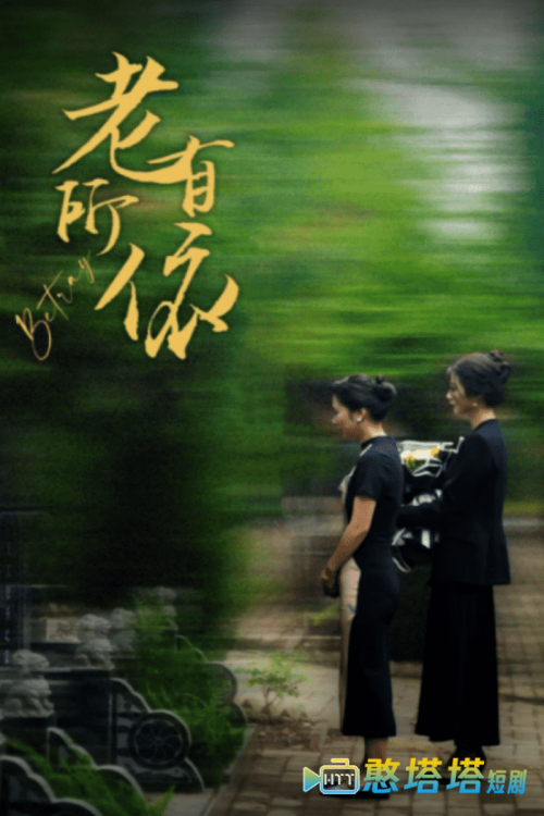 老有所依全集在线观看