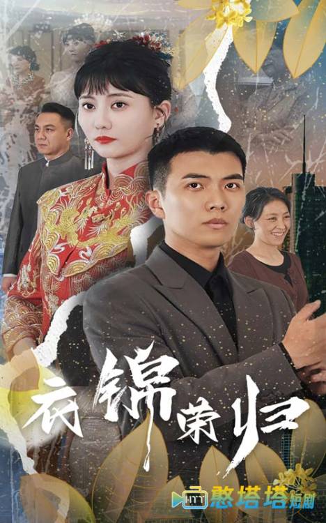 衣锦荣归全集在线观看