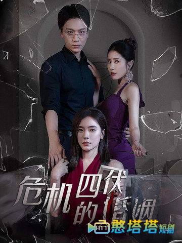 危机四伏的婚姻全集在线观看