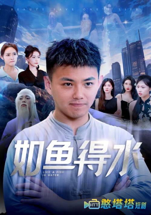 如鱼得水全集在线观看