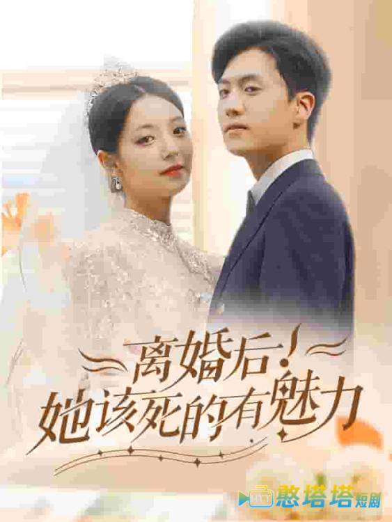 离婚后，她该死的有魅力全集在线观看