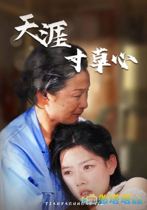 天涯寸草心全集在线观看