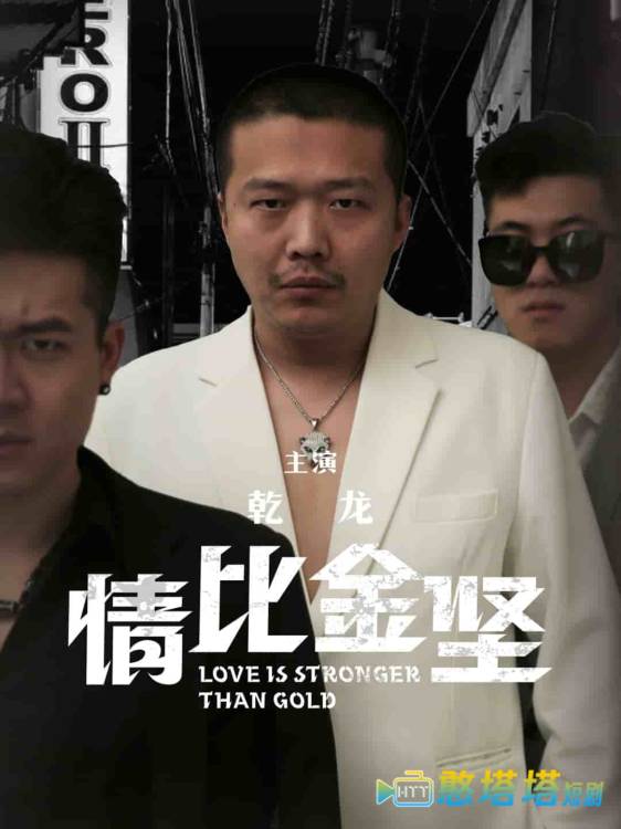 情比金坚全集在线观看