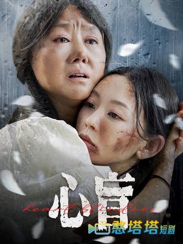 心盲全集在线观看