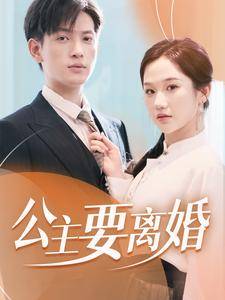 公主要离婚全集在线观看