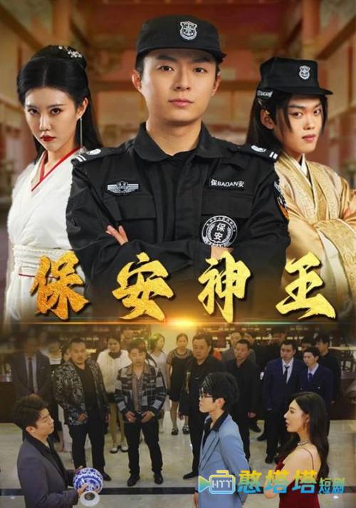 保安神王全集在线观看