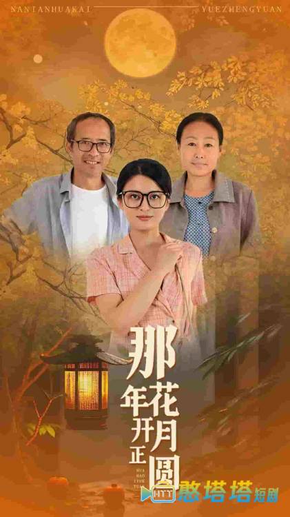 那年花开月正圆 短剧版 全集在线观看