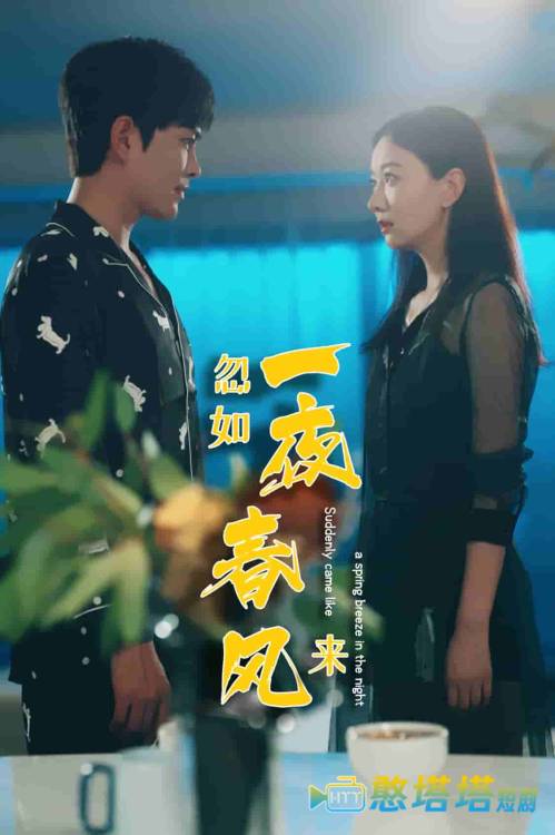 忽如一夜春风来全集在线观看