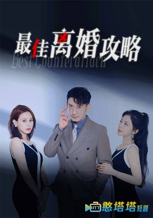 最佳离婚攻略全集在线观看