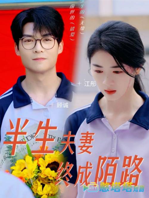 半生夫妻终成陌路全集在线观看