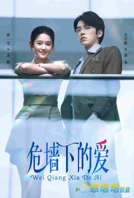 危墙下的爱全集在线观看