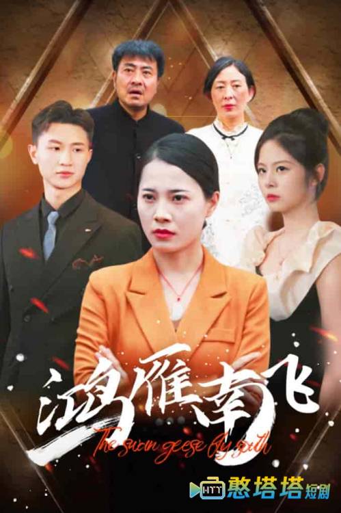 鸿雁南飞全集在线观看