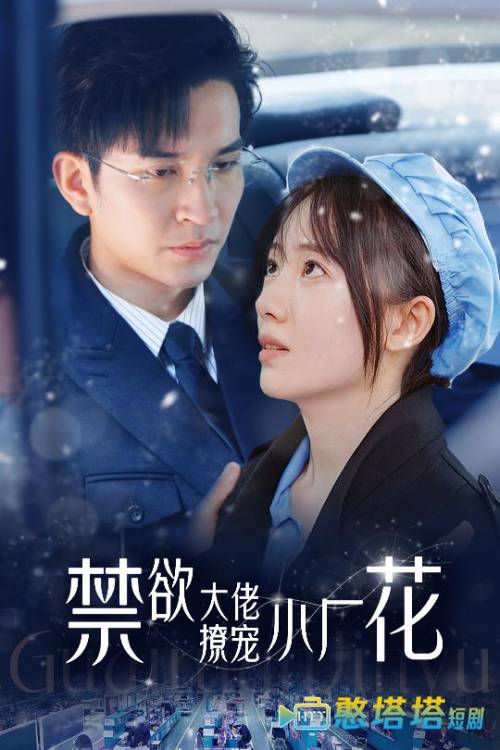 禁欲大佬撩宠小厂花全集在线观看