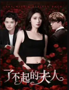 了不起的夫人全集在线观看