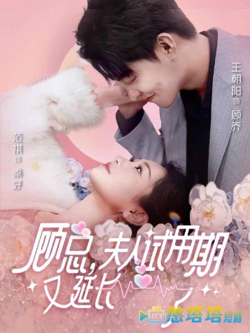 顾总,夫人试用期又延长了全集在线观看