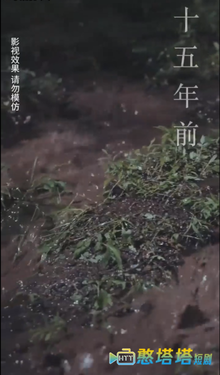 云深见朝阳