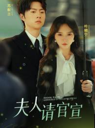 夫人请官宣全集在线观看