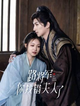 路将军,你找错夫人了全集在线观看